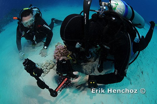 Foto con YS-110 Alfa