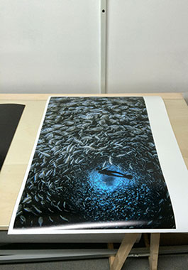 EMOZIONI - laboratorio di stampa FINE-ART