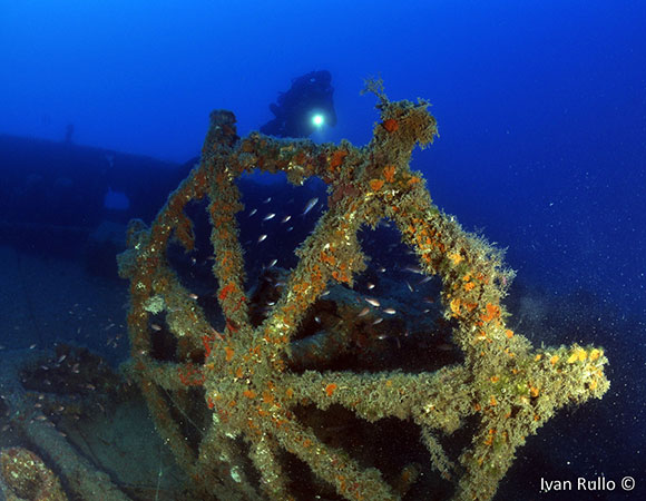 Timone del relitto del Pasubio (foto di Ivan Rullo)