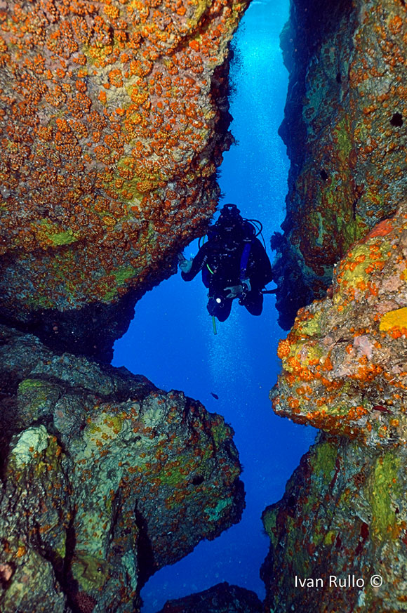 Scorci sommersi della Costa Viola (foto di Ivan Rullo)