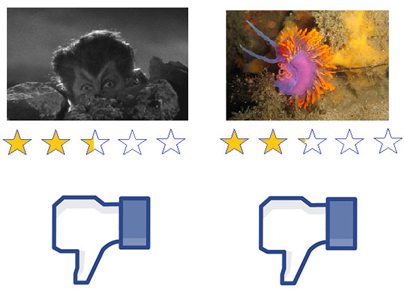 flabellina vs lupo mannaro