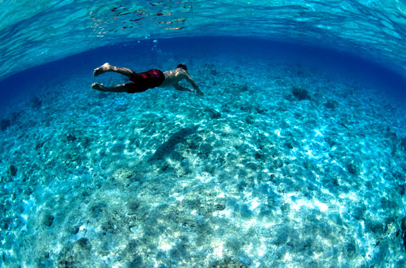 Immersioni subacquee diving alle Farasan Banks