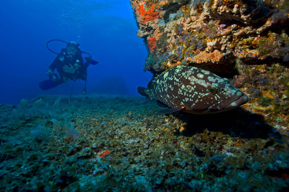 destinazione subacquea a corto raggio dall'IItalia