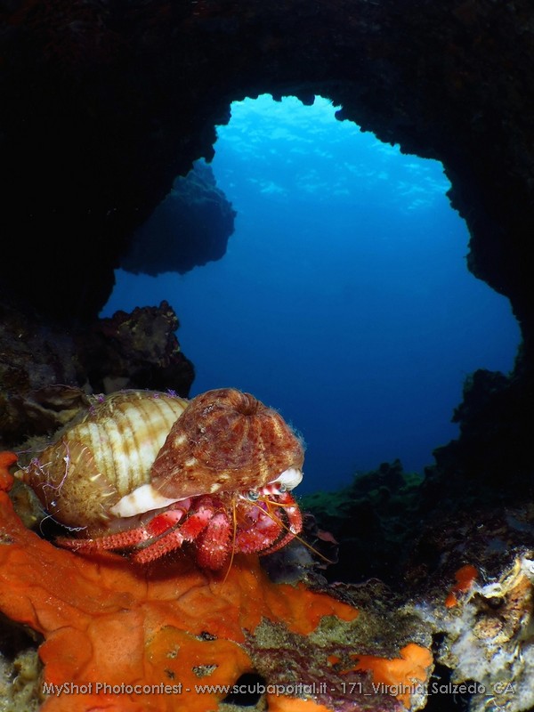 1a classificata - Virginia Salzedo