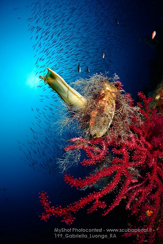 1a classificata - Gabriella Luongo