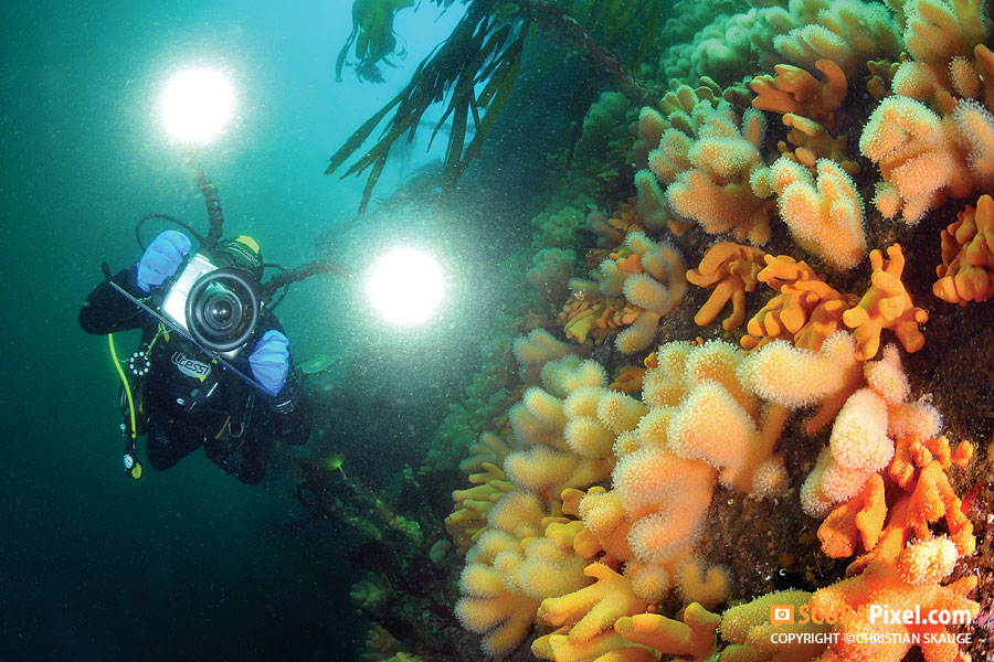 1093-30042012-6650-Videographer