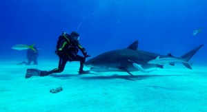 FaceGuidePushMove2-735x400