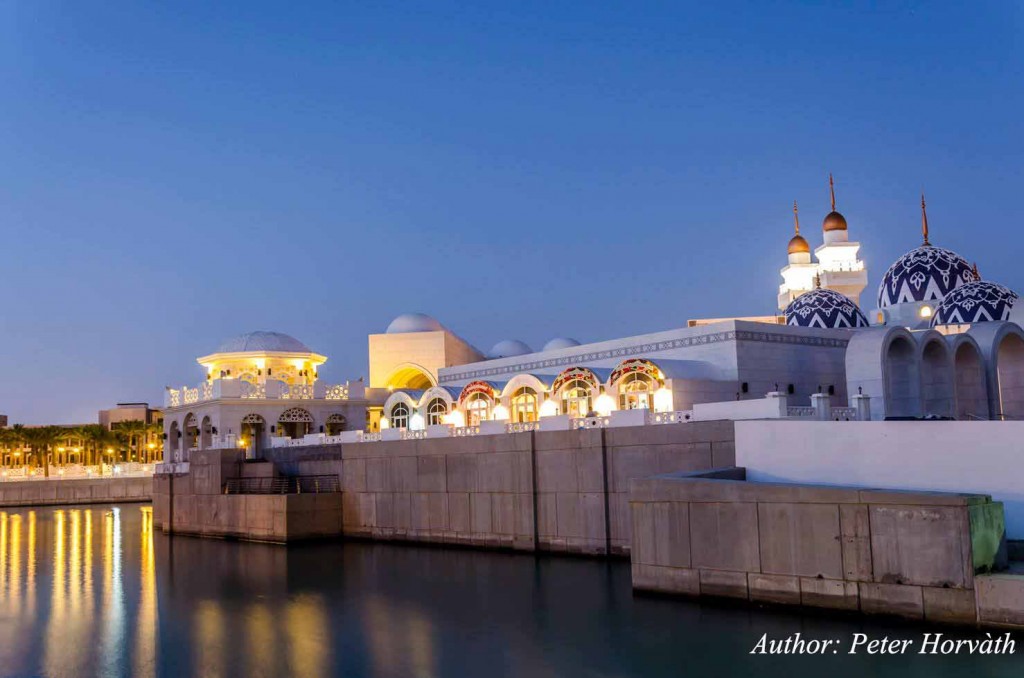 13123334_1130297967009965_3247661422521649518_o