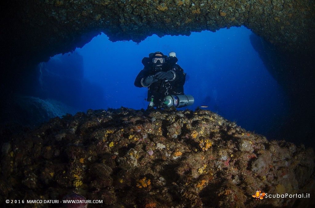 orange-shark-malta-1681