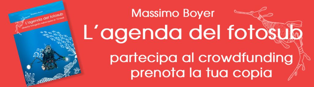 agenda del fotosub