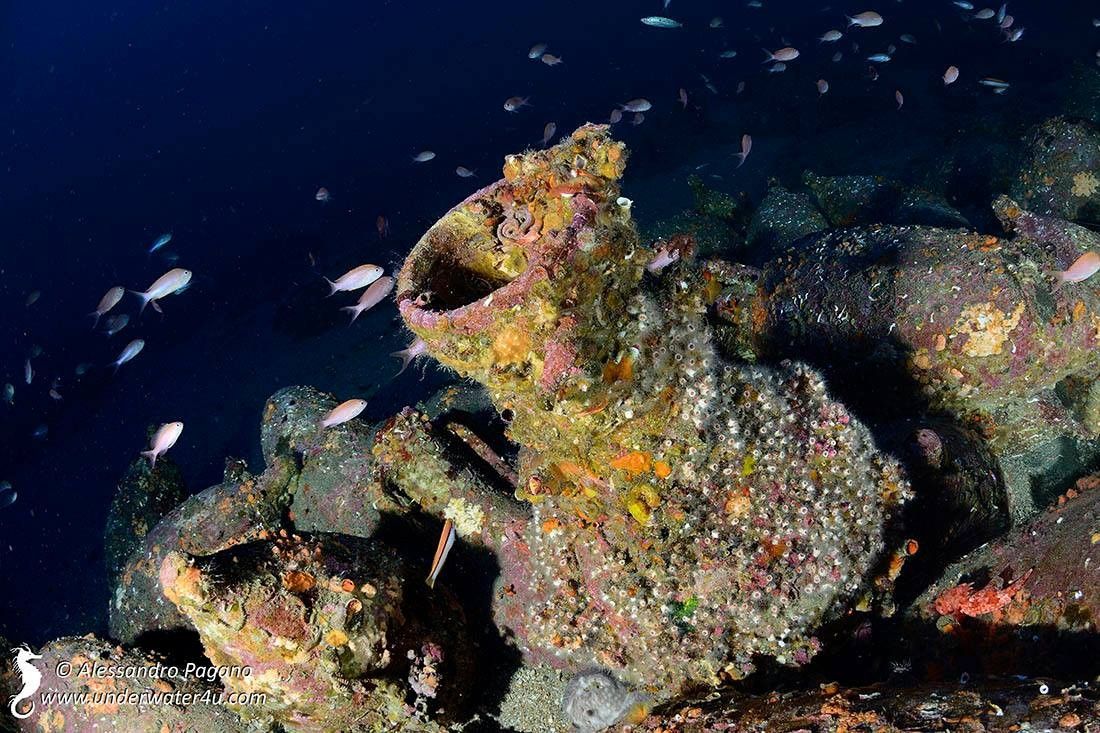 Il relitto di Capomulini