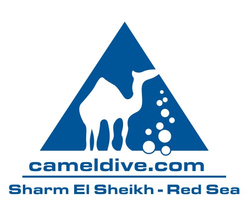 camel diving logo mar rosso