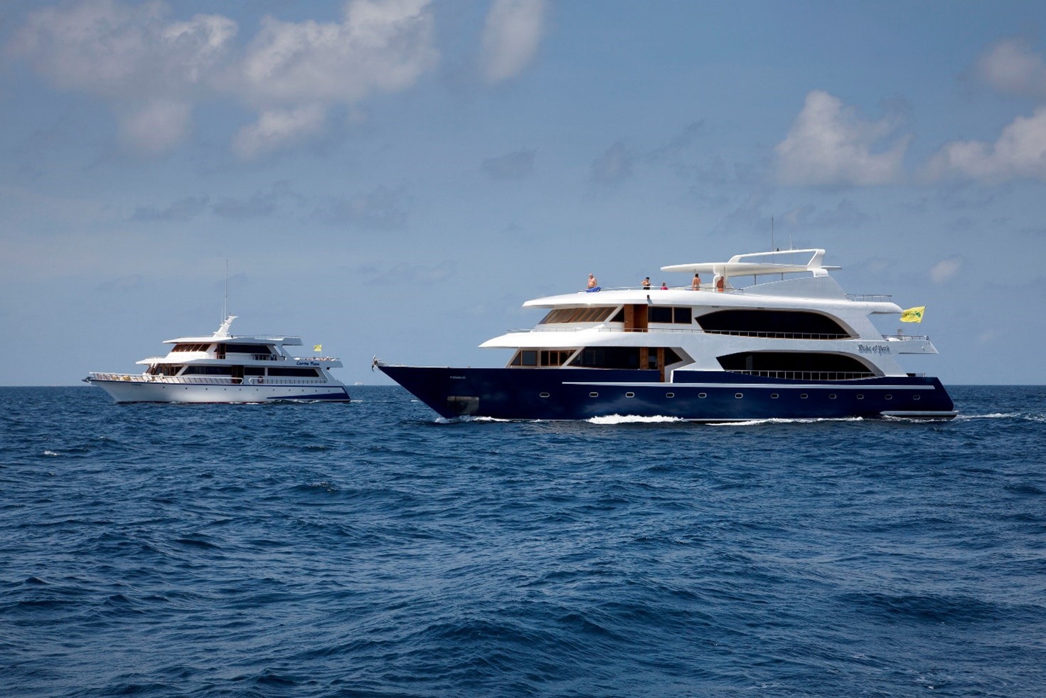 Navi da crociera Albatros Top Boat