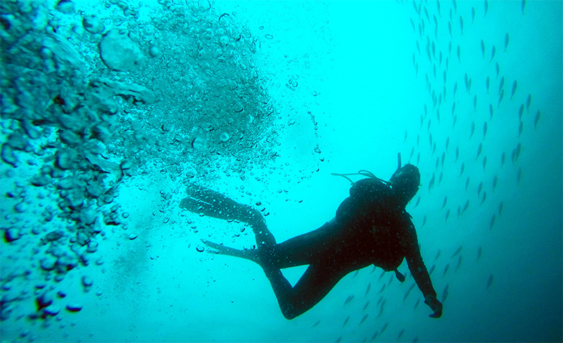 subacqueo in immersione con erogatore maschera e attrezzatura subacquea costo