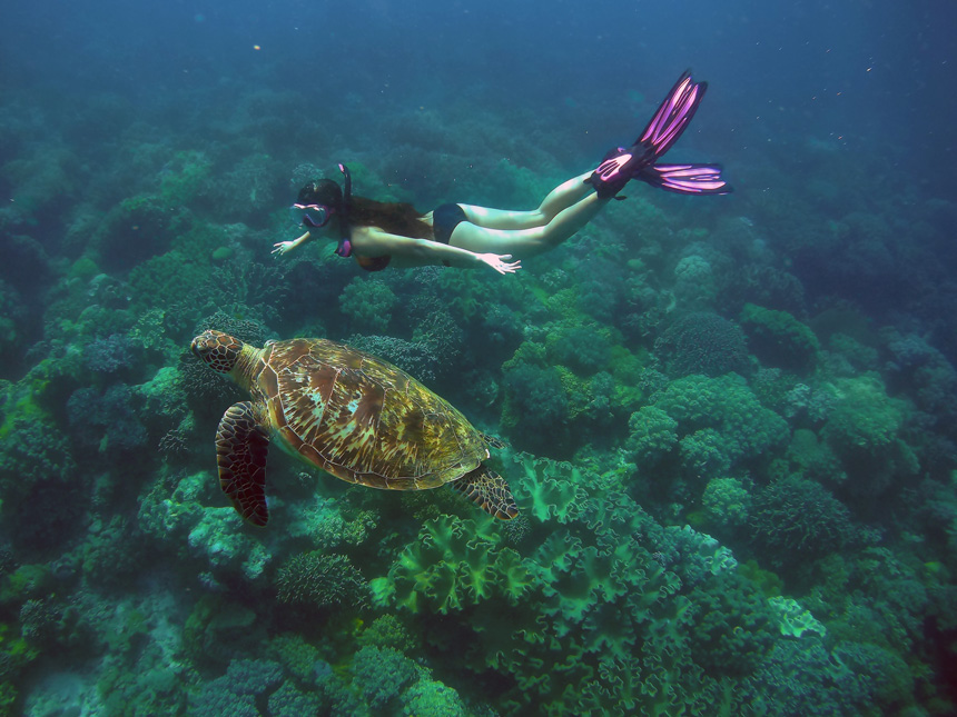 Apo-Island-filippine-subacquea-tartaruga