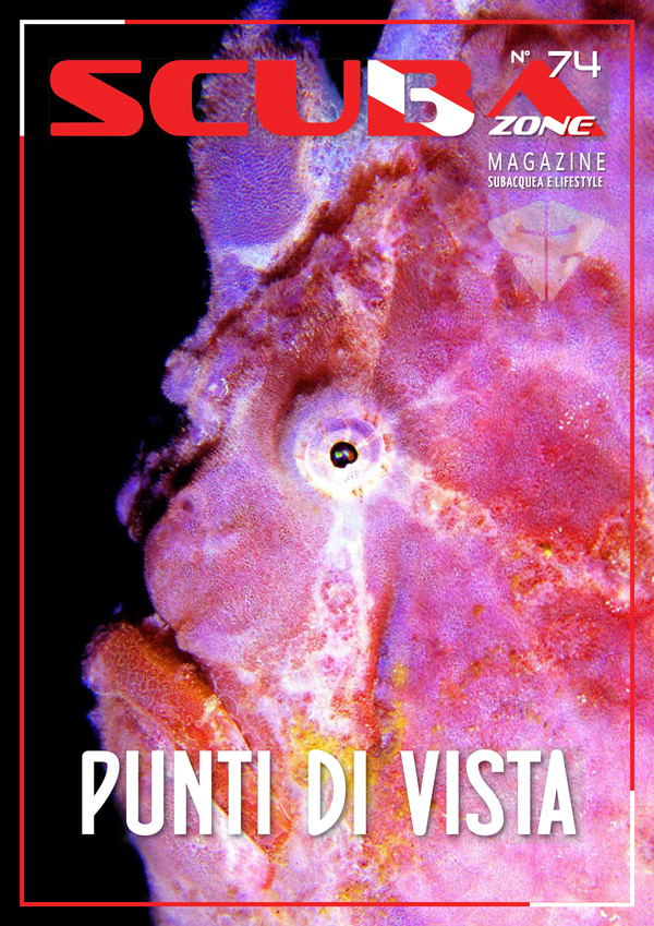 scubazone 74 magazine di subacquea cover pesce rana