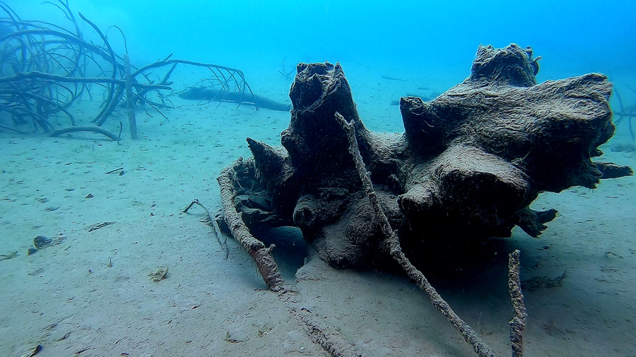 fondale lago subacqueo ripopolamento avannotti