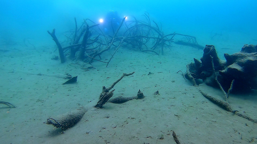 fondale lago svizzera