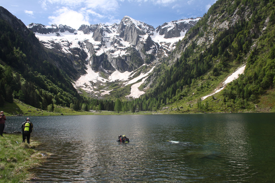 lago svizzera ripopolazione speci ittiche