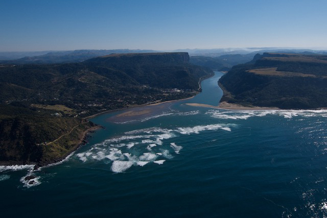 sud africa albatros viaggio