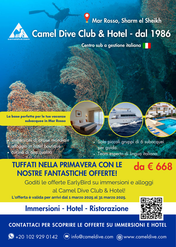Camel  dive offerte mar rosso primavera