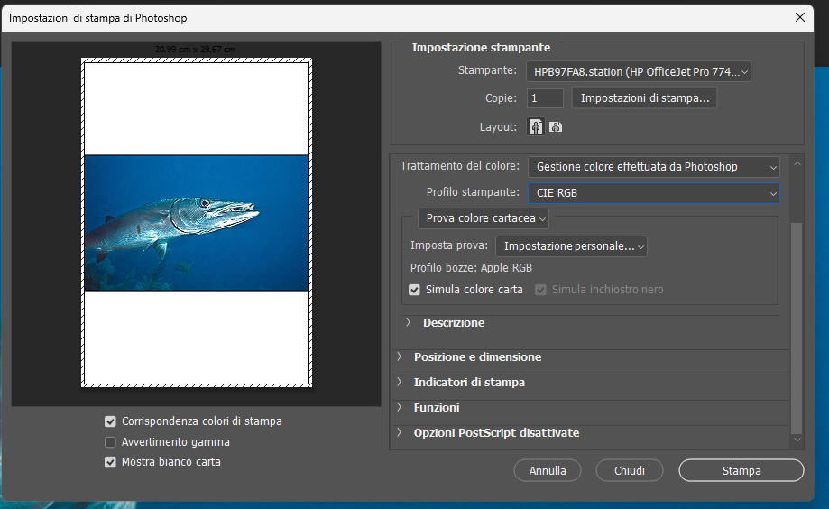 stampa foto subacquea impostazioni photoshop