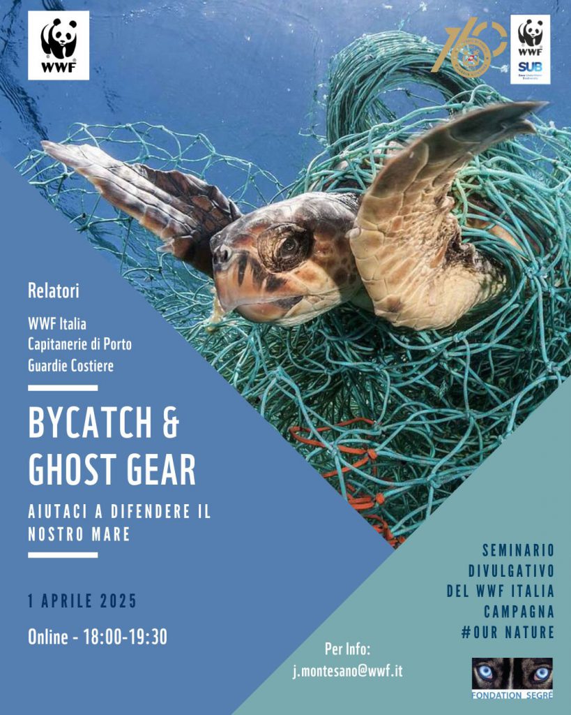 bycatch-ghost-gear-webinar-wwf-sub