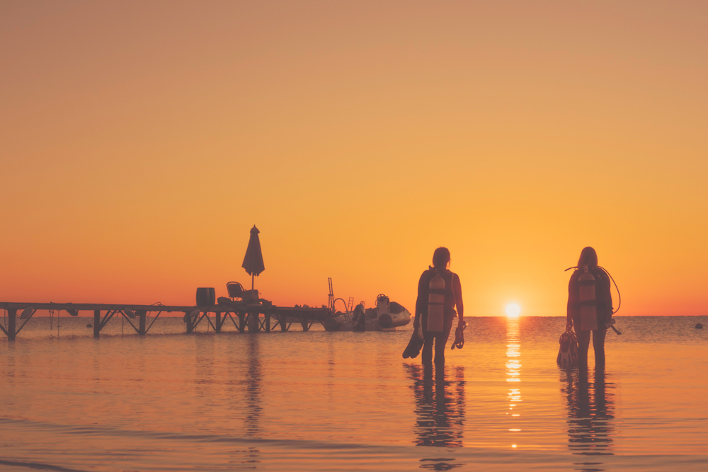 professionista subacqueo padi corso