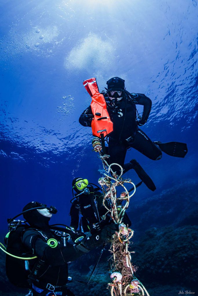 Due subacquei durante la rimozione di una rete da pesca dal fondale marino, utilizzando un pallone di sollevamento in acque blu.