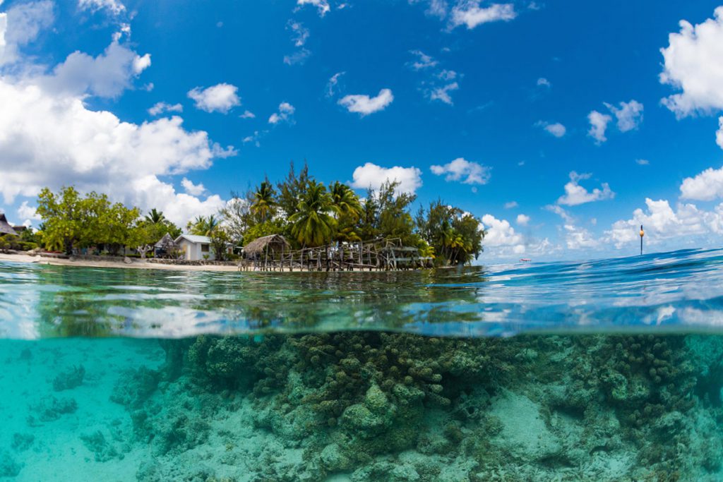 Veduta metà sopra e metà sott’acqua di una barriera corallina tropicale con isola in Polinesia, cielo azzurro e palme sulla spiaggia.