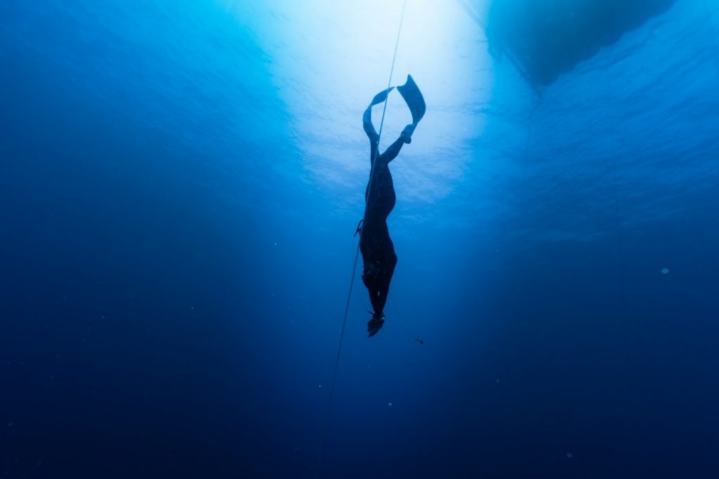 apnea record zecchini 2025 cwtb