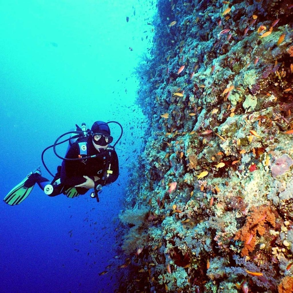 Mar rosso immersione subacquea barriera corallina