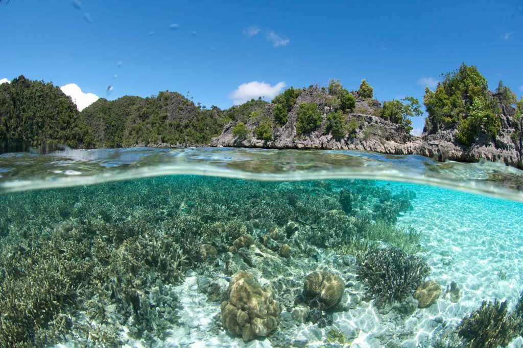 Fotografia di isole rocciose lussureggianti e una ricca barriera corallina con acqua cristallina in Indonesia

