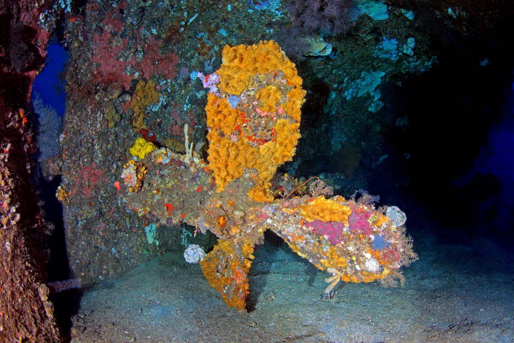 Elica del relitto Mola’s Wrek ricoperta da spugne incrostanti colorate a Manado, Indonesia