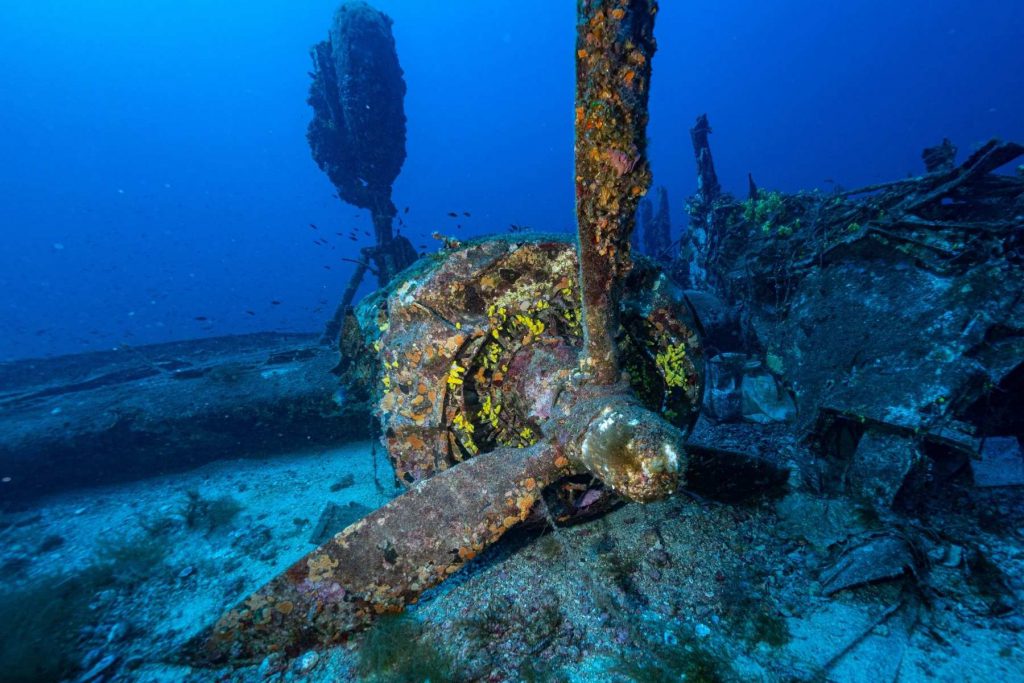 Primo piano a colori di un’elica arrugginita e incrostata di organismi marini appartenente al relitto di un B-24 sul fondo del mare

